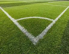 孙颖莎亚洲,杯开门红,乒乓球亚洲,NG娱乐,NG娱乐真人,NG娱乐电子,NG大舞台