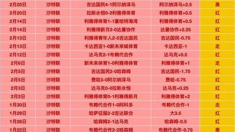 上海女排三局轻取河南女排夺冠