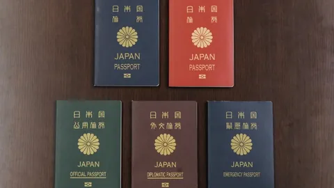 哥伦甲19胜14平局回顾 专家质合分析推荐前区十码